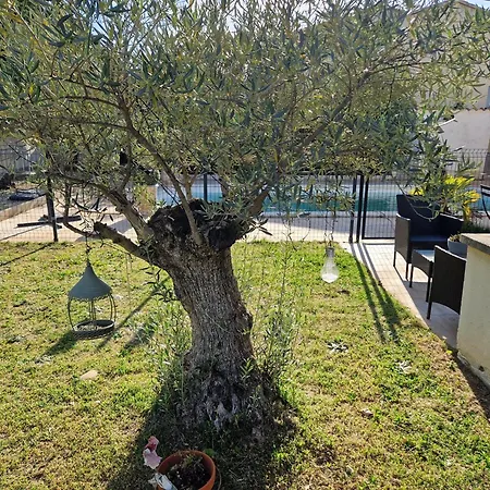 Le Cabanon De Lea * Тавель